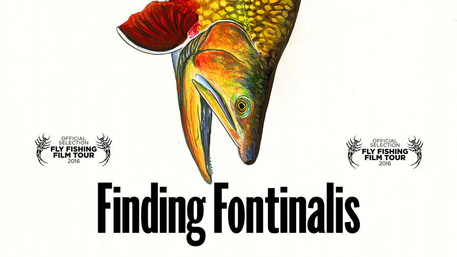 Finding Fontinalis