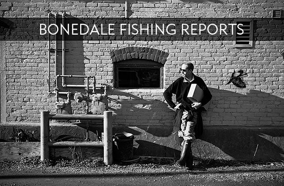 BONEDALE FISHING REPORT #8