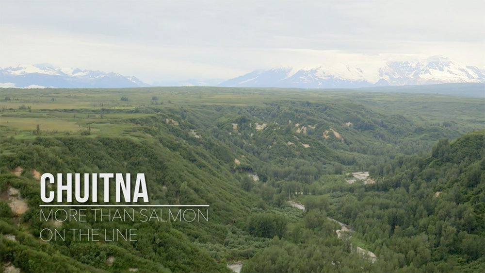 Chuitna - More Than Salmon On The Line