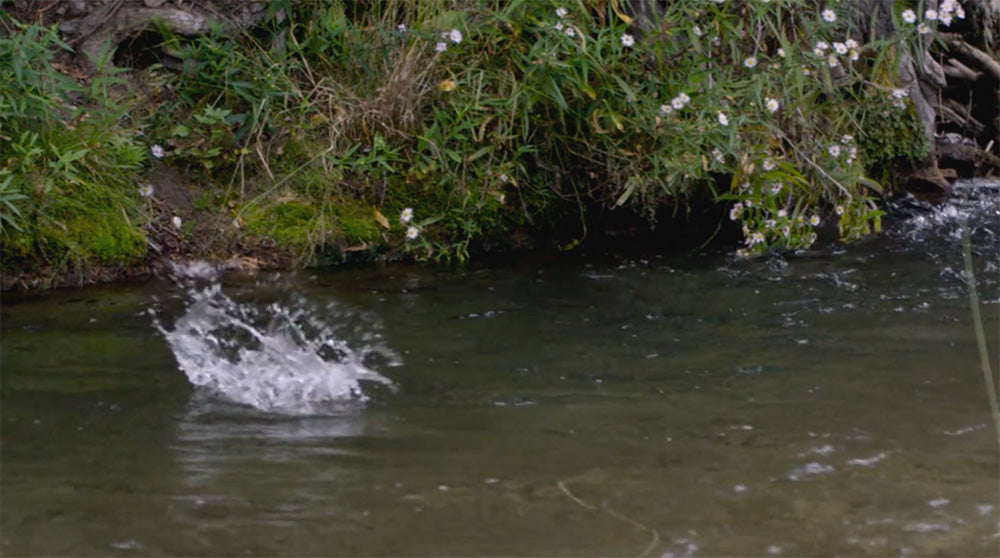 Redington Elements : Takes