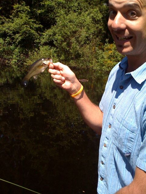 Smolt of the Month Entries