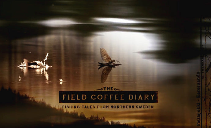 Field Coffee Diary - Ep4 - A Late Hatch