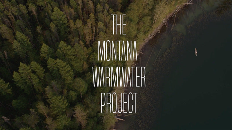 The Montana Warmwater Project