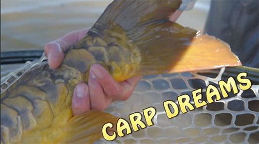 Carp Dreams