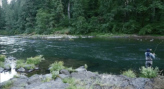 Single Handers & Skaters