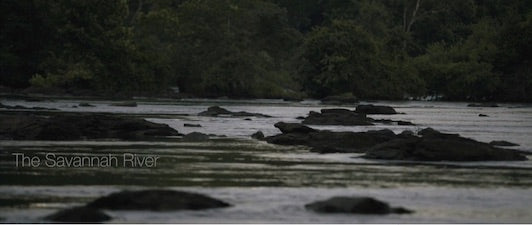 The Savannah River