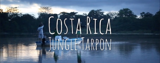 Jungle Tarpon Diaries Vol. 1