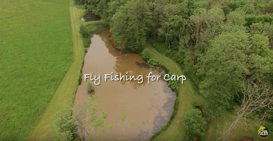 Fly Fishing for Carp