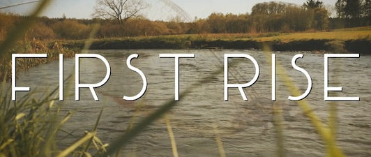 First Rise