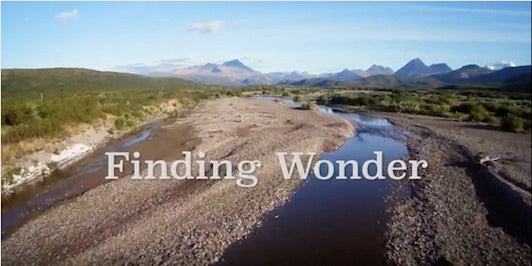 Finding Wonder