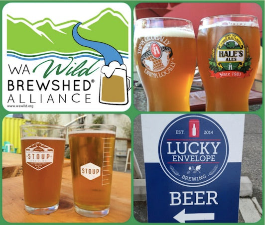 Brewshed Ballard Pub Crawl: Round II