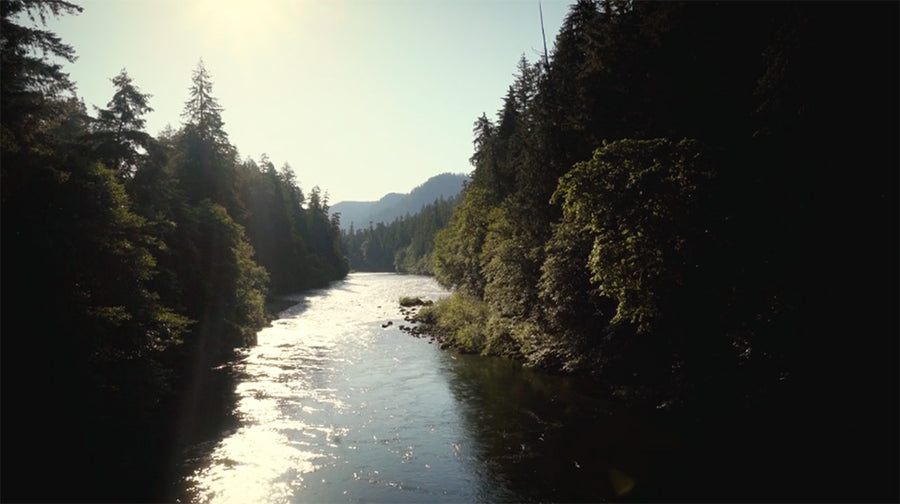Frank Moore Wild Steelhead Sanctuary