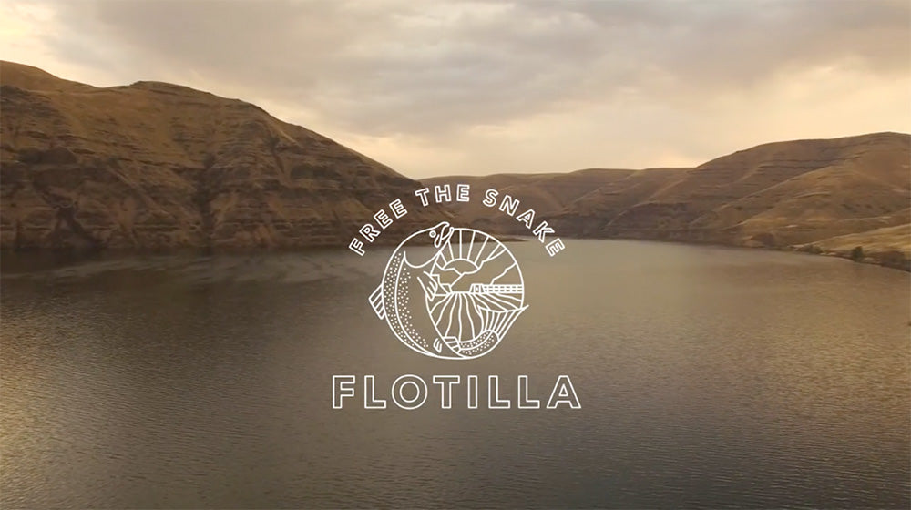 Free The Snake Flotilla