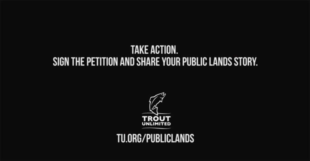 Raising Gus | A Public Lands Story