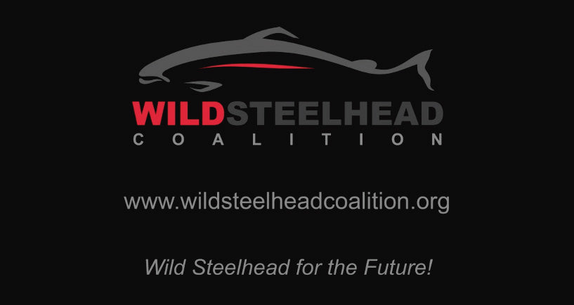 Wild Steelhead Coalition 15th Anniversary