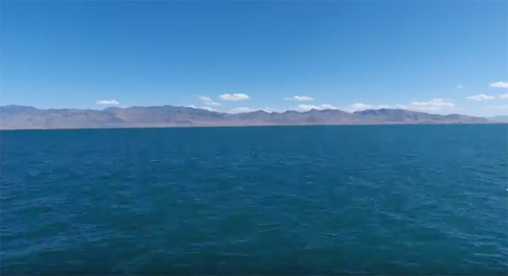 Pyramid Lake Bait Balls