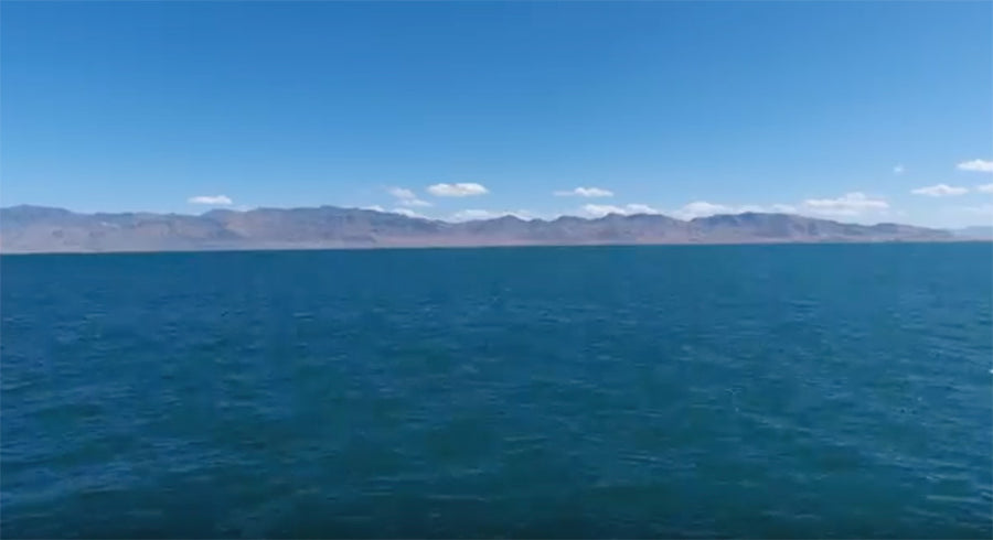 Pyramid Lake Bait Balls