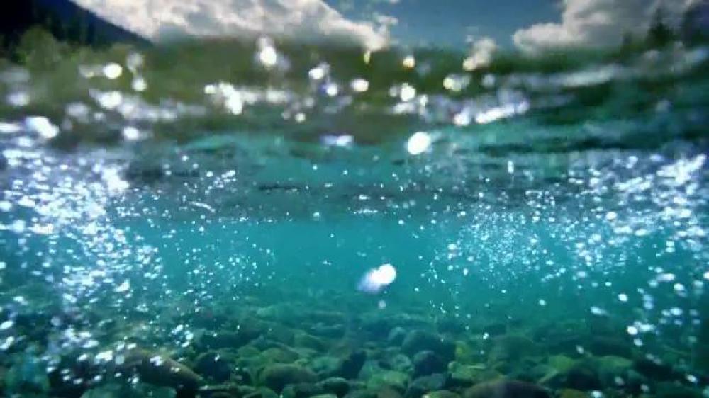 We Just Wanted To Put This Here