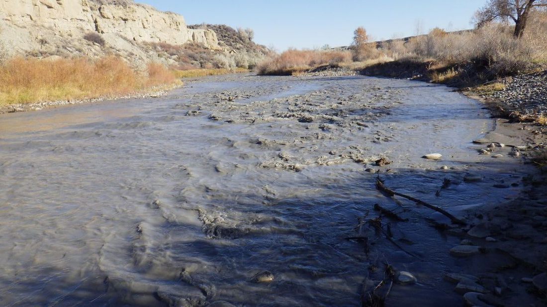 Shoshone River Sediment Spill