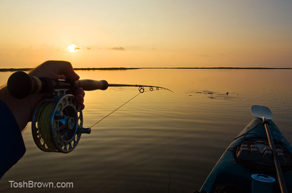 How I'm spending my Independence Day...