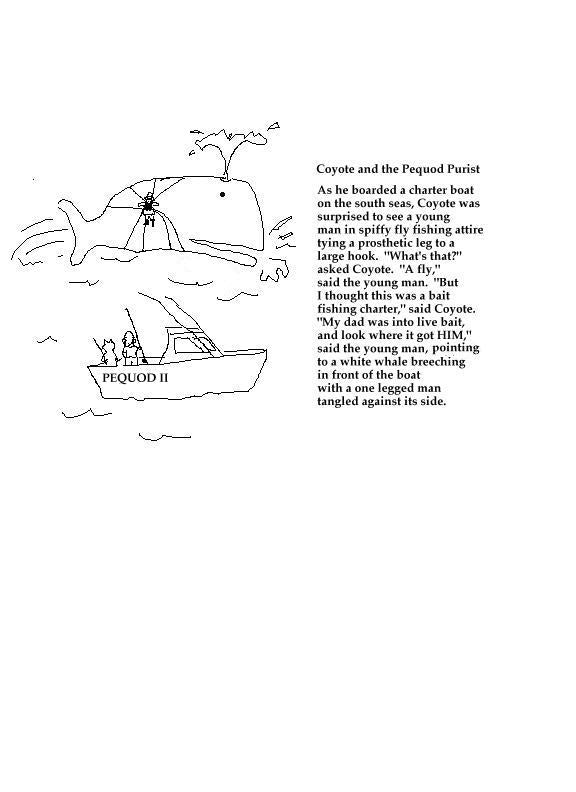 Coyote and the Pequod Purist