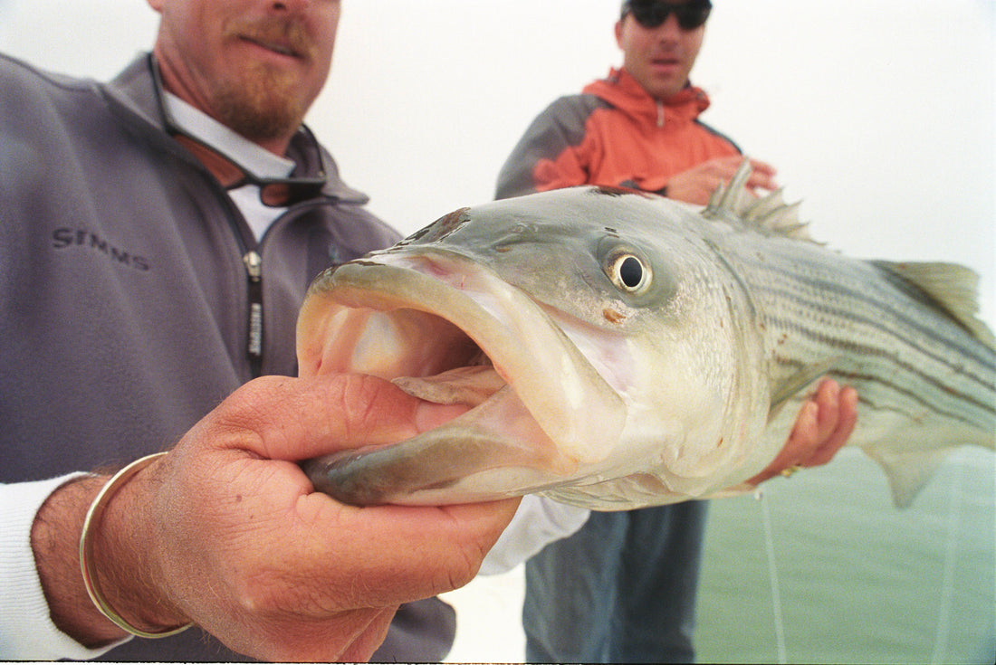 I am the Man From Nantucket...