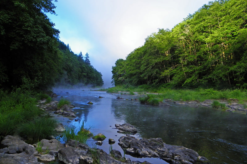 The Nehalem River