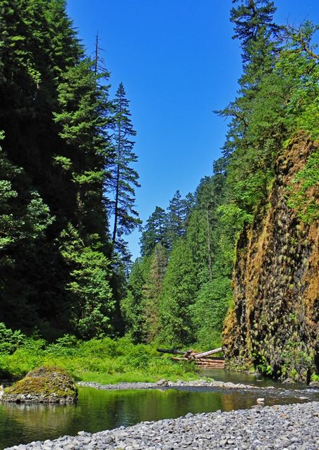 Legend of the 'Lill E