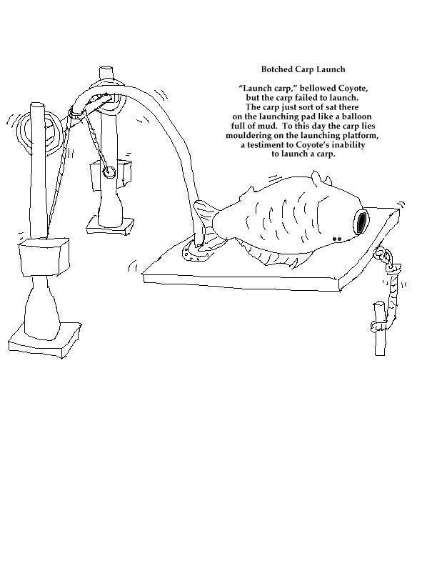 Botched Carp Launch