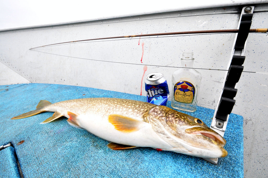 Notes from Northern Manitoba Pt.1