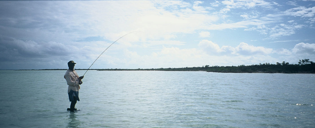 A color photograhp of a man standing in shallow water flyfishing