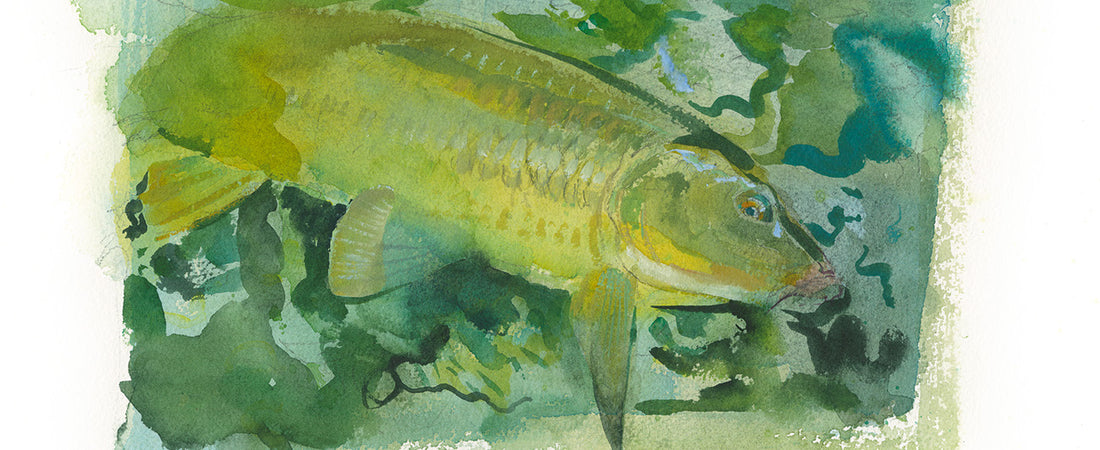 THE QUEEN OF CENTRAL PARK