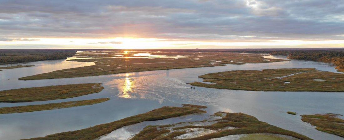 Trout Unlimited sues EPA