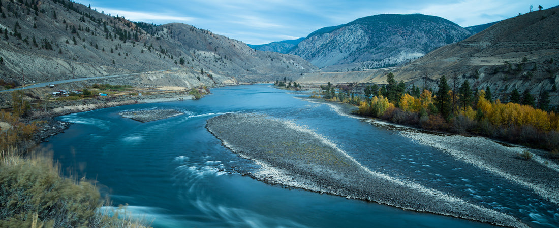 Thompson River Wild Steelhead