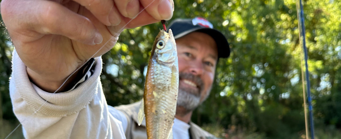 Smolt of the Month August