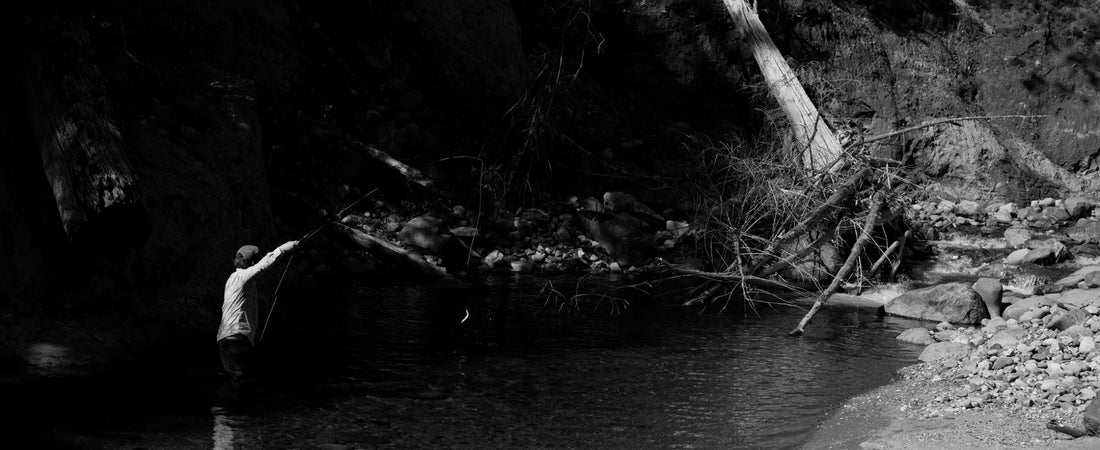 Touché Blue Line, Touché