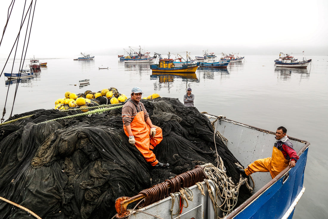 Costa Sunglasses’ Protect Report Highlights 35 Years of Conservation Efforts