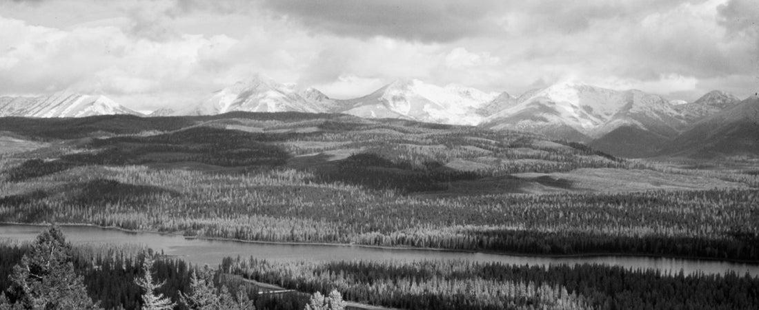 The Campus FlyFish Novel