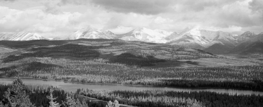 The Campus FlyFish Novel