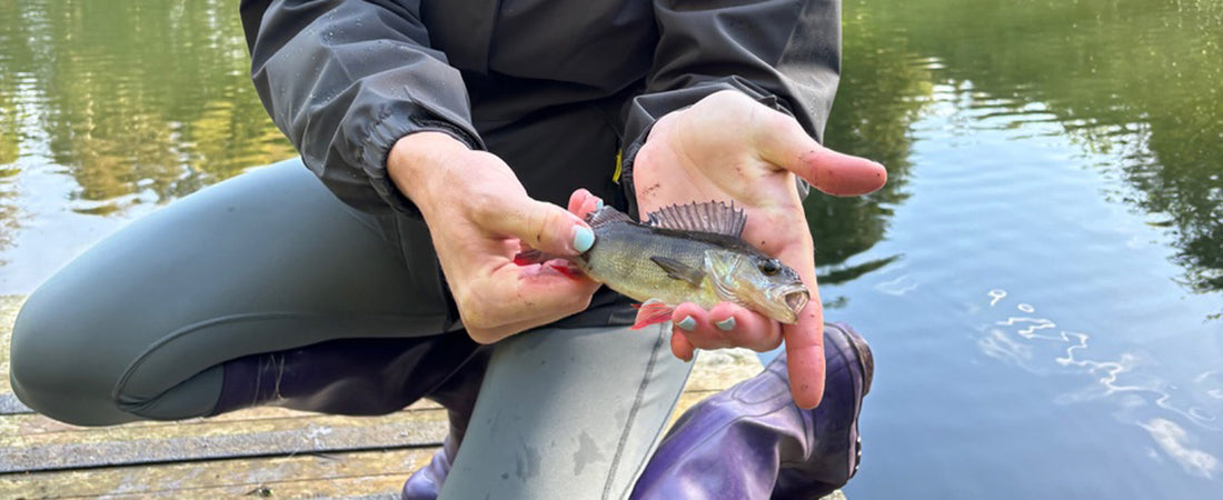 The Flyfish Journal's November Smolt of the Month