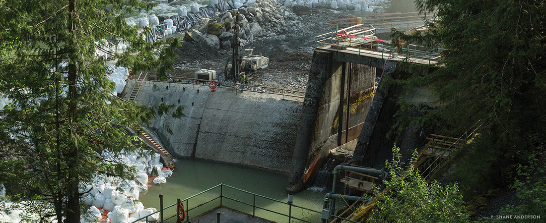 Modern Day Monkey Wrenching