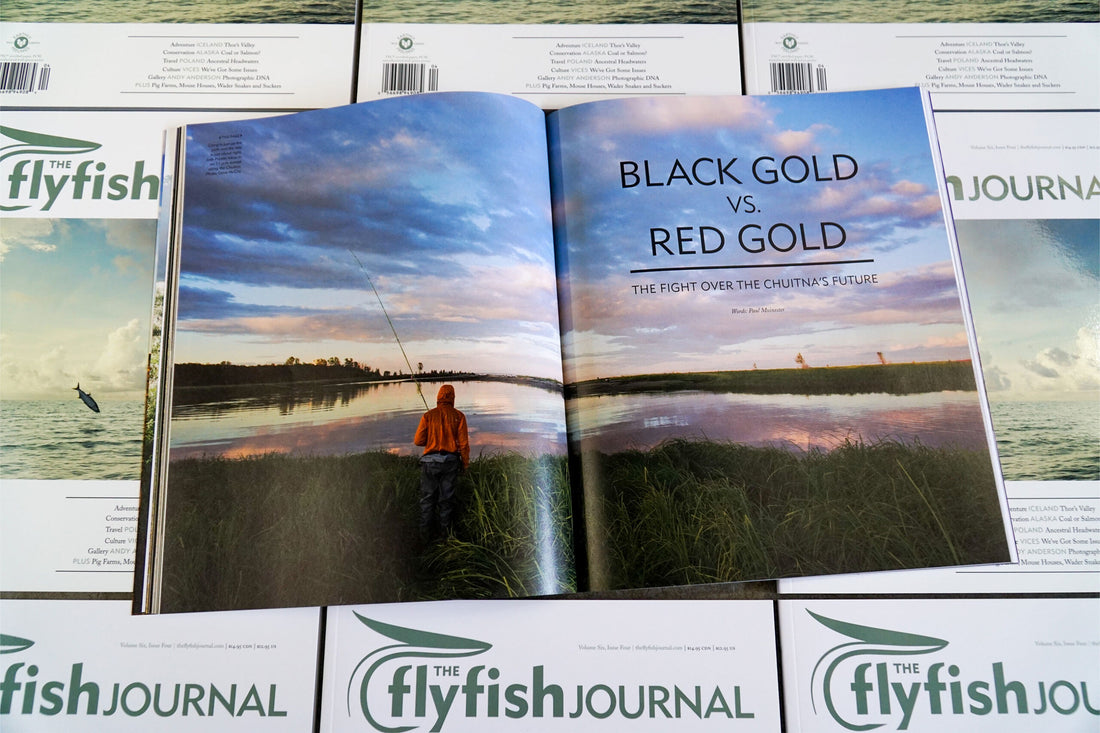 The Flyfish Journal Volume 6 Issue 4 Feature Black Gold vs. Red Gold