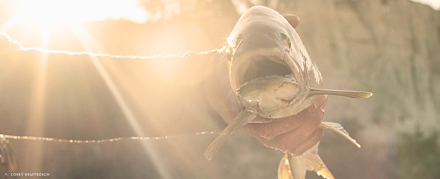 SORRY, THAT WAS ME...