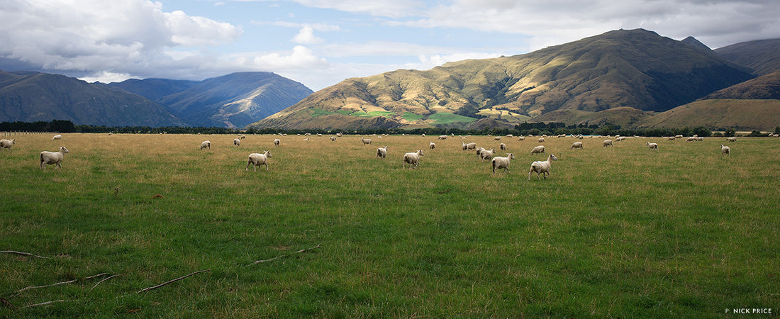 LOST IN THE PRESENT TENSE