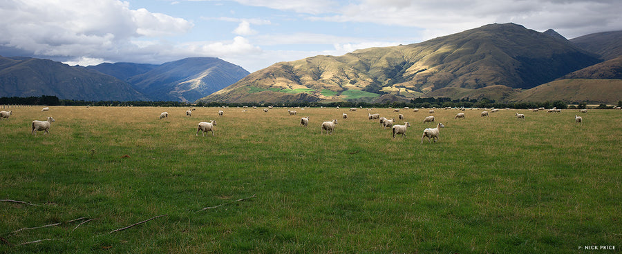 LOST IN THE PRESENT TENSE