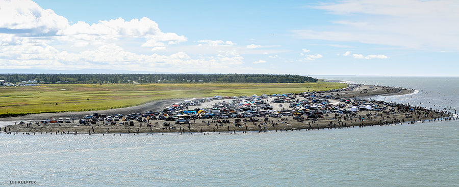 OUR WIDOWED STRINGERS