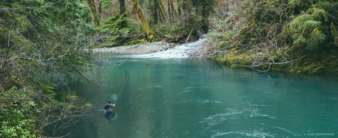 An Infinite Number of Event Horizons