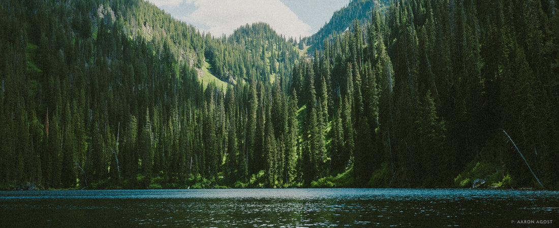 OPEN WATER: EACH ONE A POEM. A pocket of sunshine highlights a high mountain saddle. Photo Aaron Agosto.