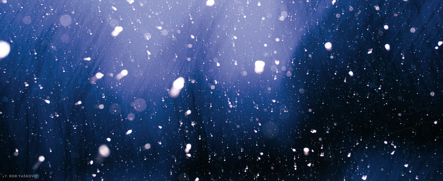 “A winter storm passes through Stokes State Forest, NJ. Though a heavily populated state, Sussex County (where I live) practically shuts down at the hint of snow.” Photo: Rob Yaskovic