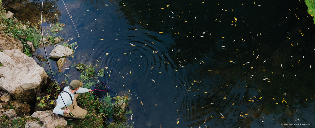 Tickle Your Fly Line